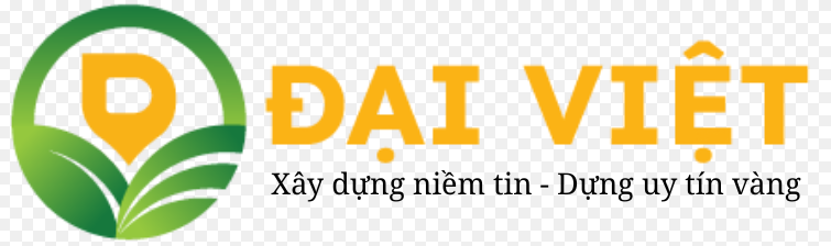 Đại Việt quốc tế